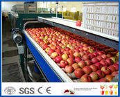 Fruit Juice Production Fruit And Vegetable Processing Device With SUS304 / SUS316 Steel