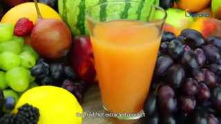 Παρακολουθήστε: SUS304 Automatic Tomato Processing Line For Tomato Paste Making Showcase