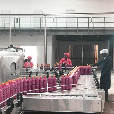SUS304 αυτόματη γραμμή επεξεργασίας ντοματών για την παραγωγή τοματοπολτών
